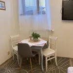 Hrádecký Dvůr Alloggio in famiglia Plzeň