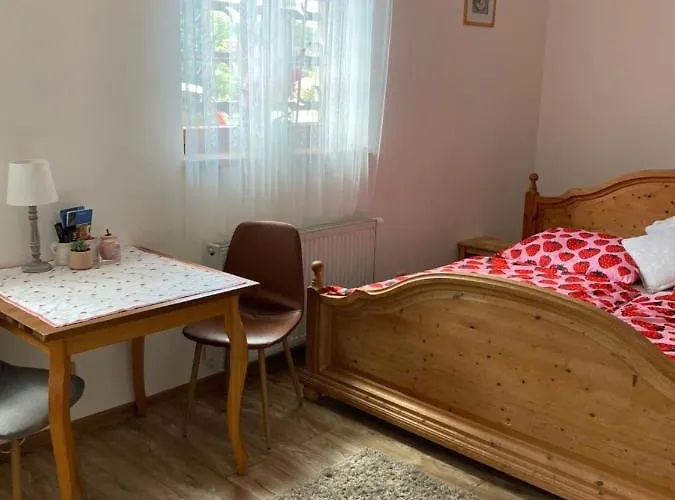 Проживання в сім'ї Hradecky Dvur *