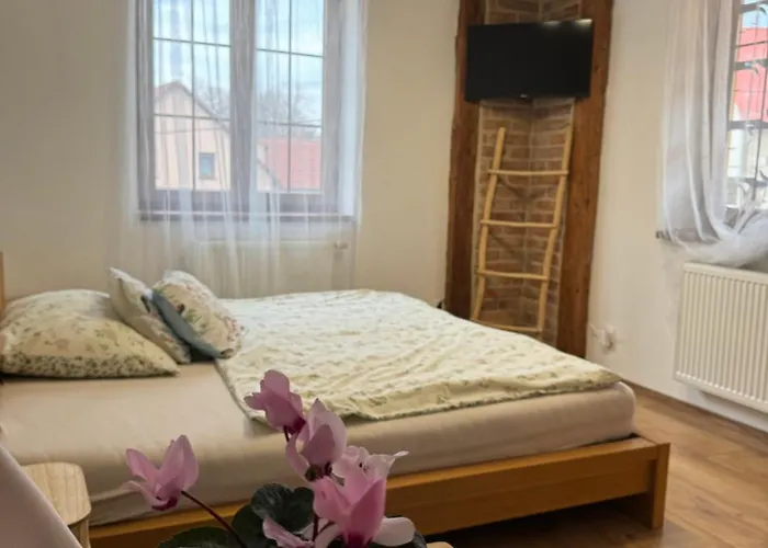 Проживання в сім'ї Hradecky Dvur Плзень